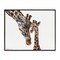 Stupell Industries Baby Giraffe Animal Watercolor Framed Giclee Art